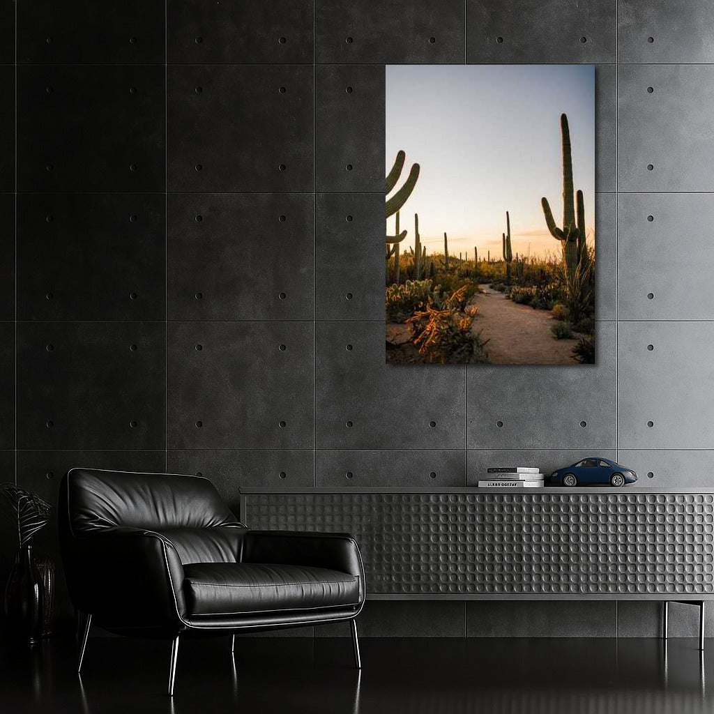 Arizona Grandeur: Sunset Among the Cacti