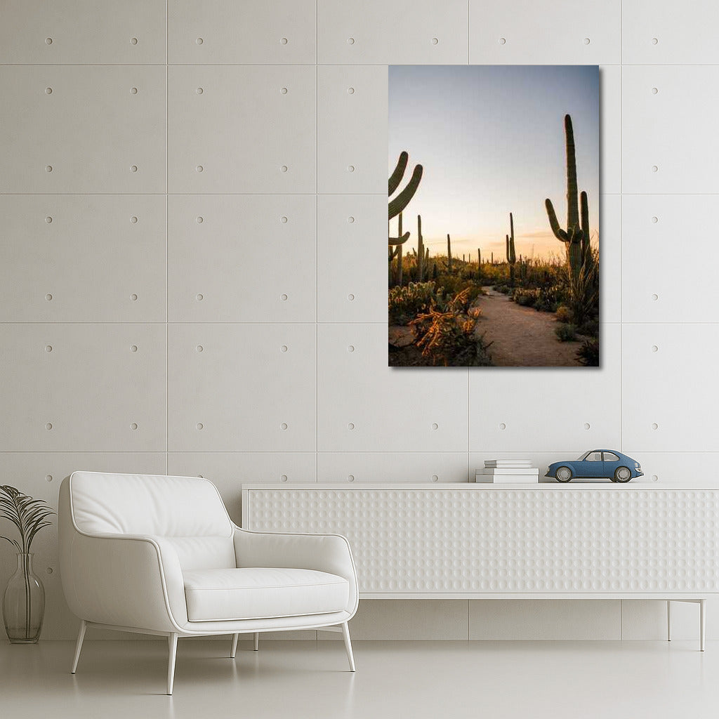 Arizona Grandeur: Sunset Among the Cacti
