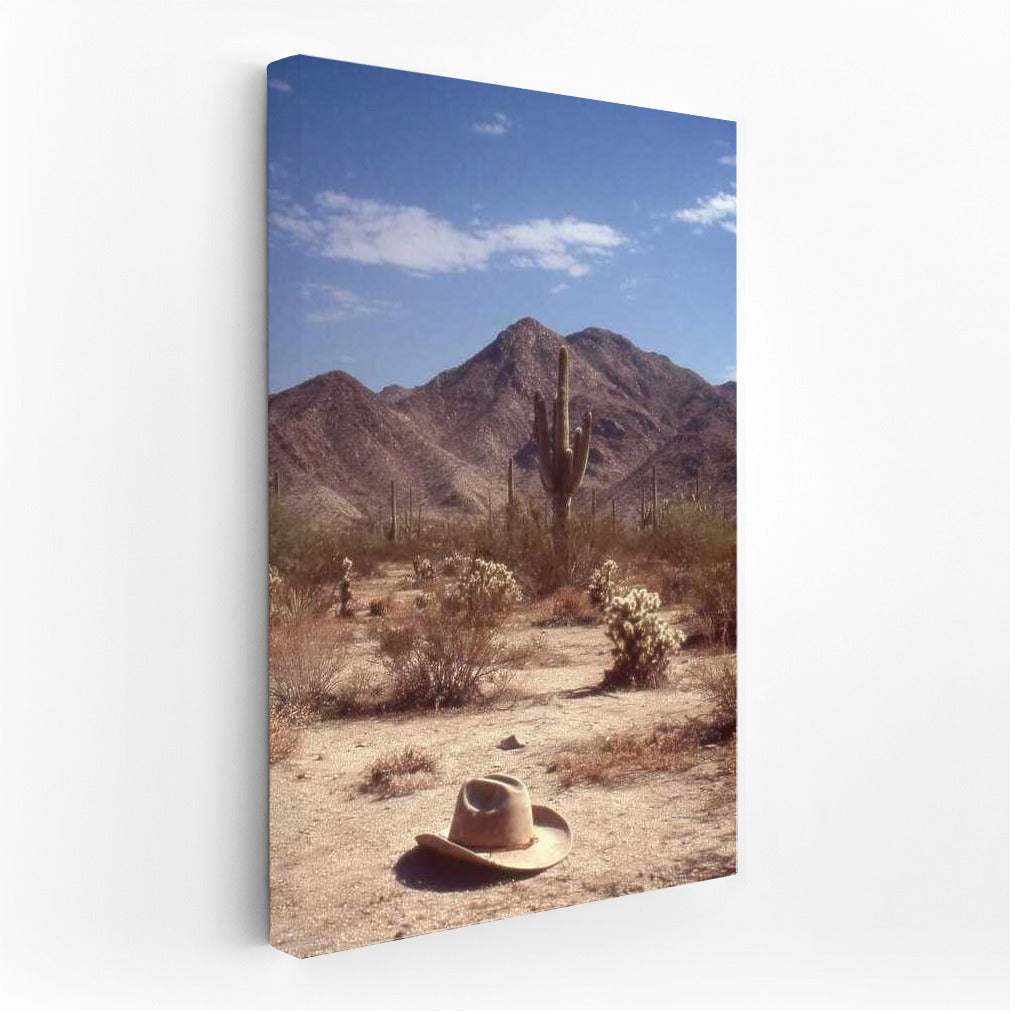 Cowboy Ode: The Desert Expanse of Arizona, USA