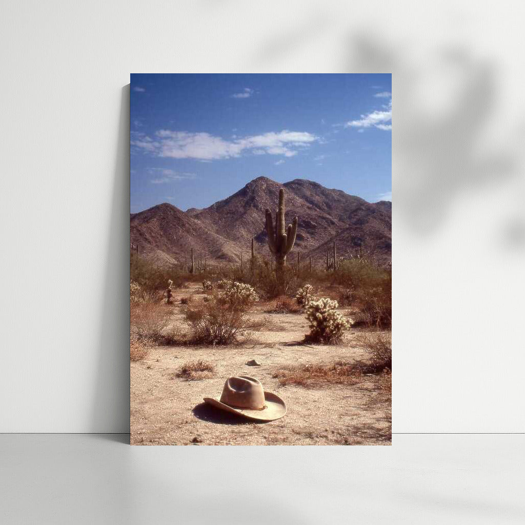 Cowboy Ode: The Desert Expanse of Arizona, USA