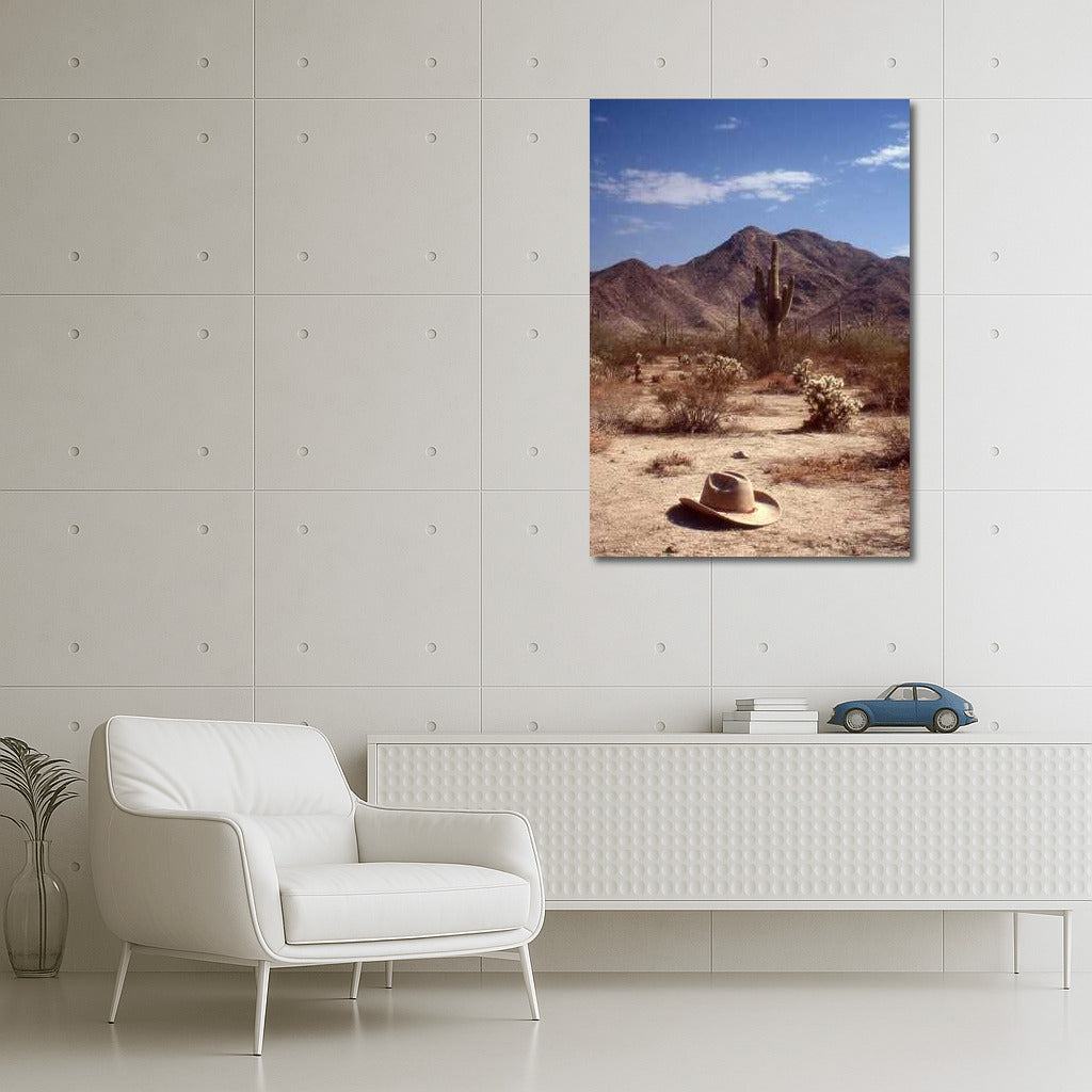 Cowboy Ode: The Desert Expanse of Arizona, USA