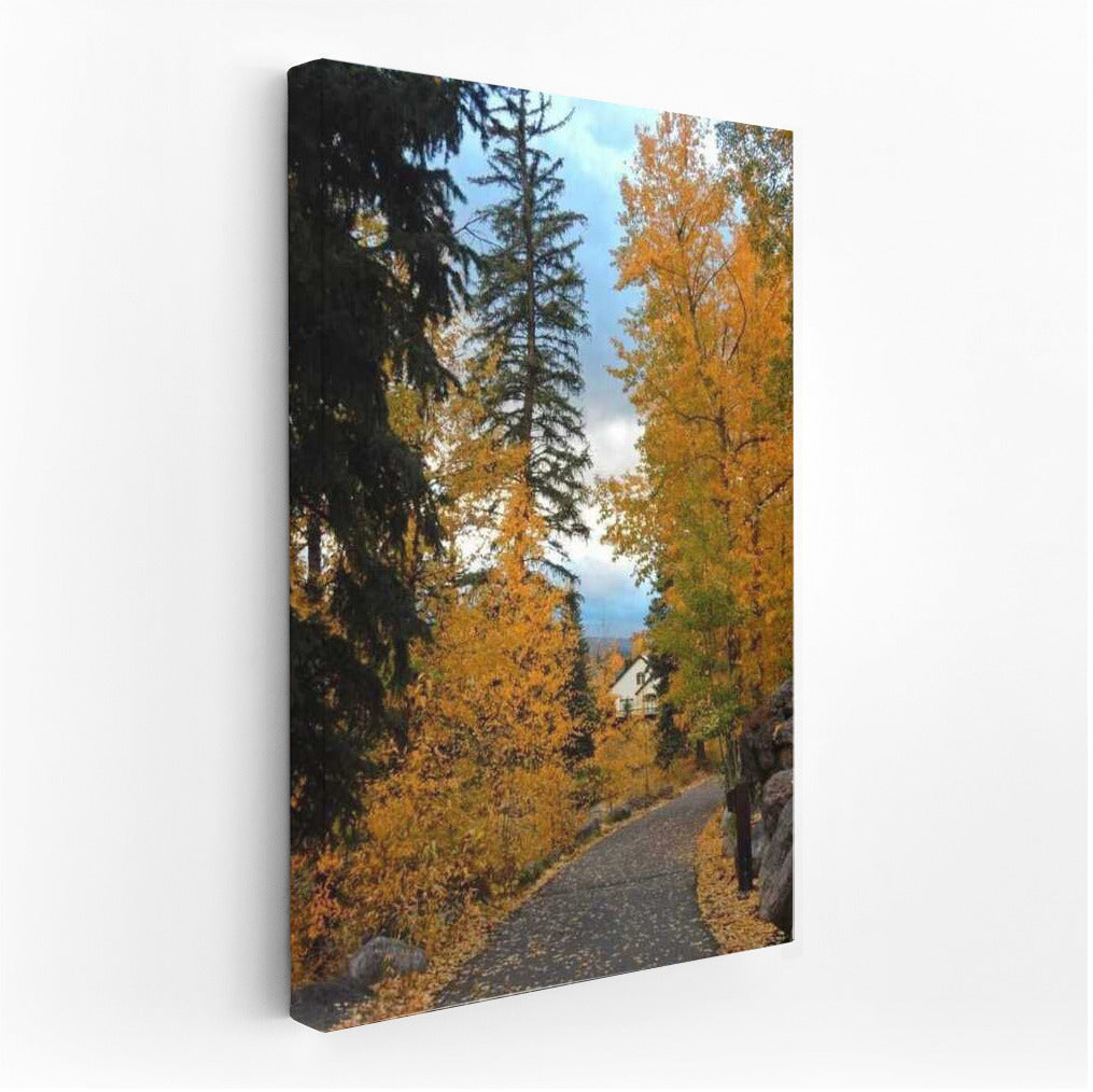 Autumn Path in Golden Colorado: Comfort and Warmth of the USA