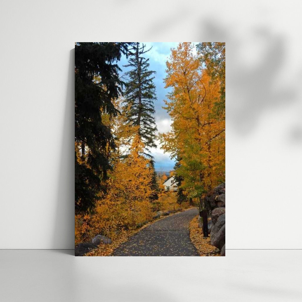 Autumn Path in Golden Colorado: Comfort and Warmth of the USA