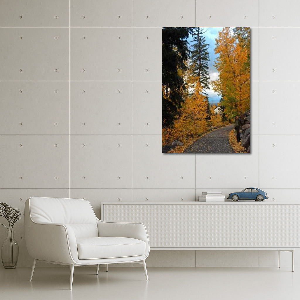 Autumn Path in Golden Colorado: Comfort and Warmth of the USA
