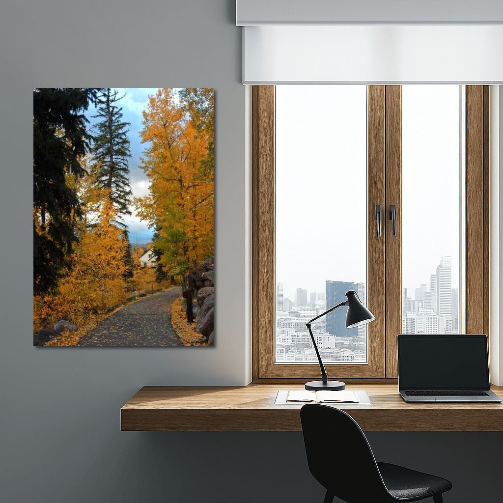Autumn Path in Golden Colorado: Comfort and Warmth of the USA