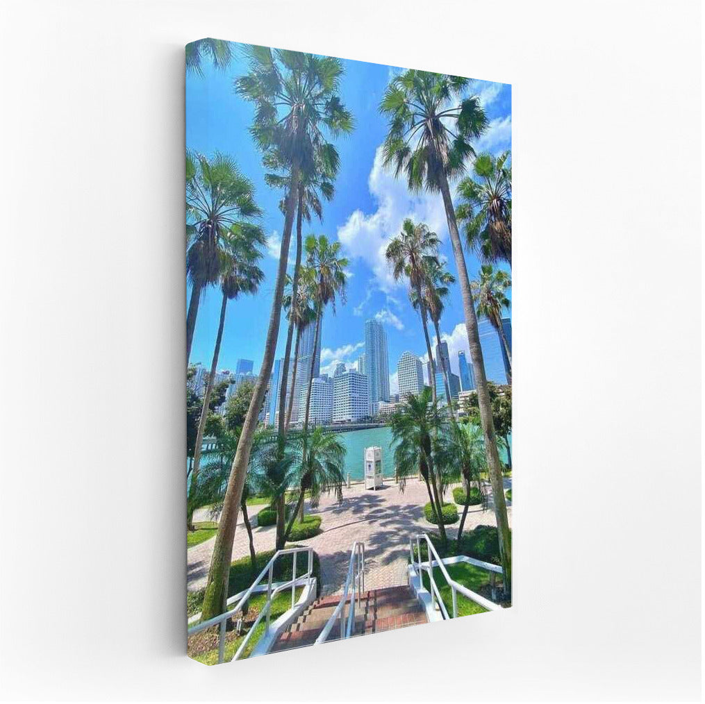 Florida's Sunny Palms and Skyscrapers: A U.S. Paradise