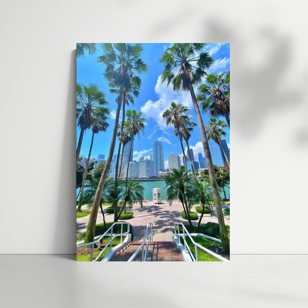 Florida's Sunny Palms and Skyscrapers: A U.S. Paradise