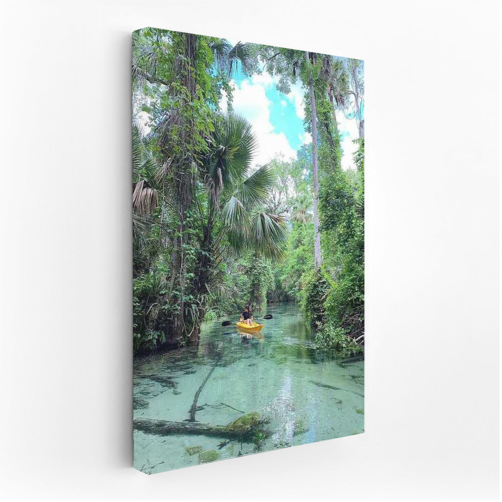 Turquoise Waters of Florida: Adventure in the Jungle USA