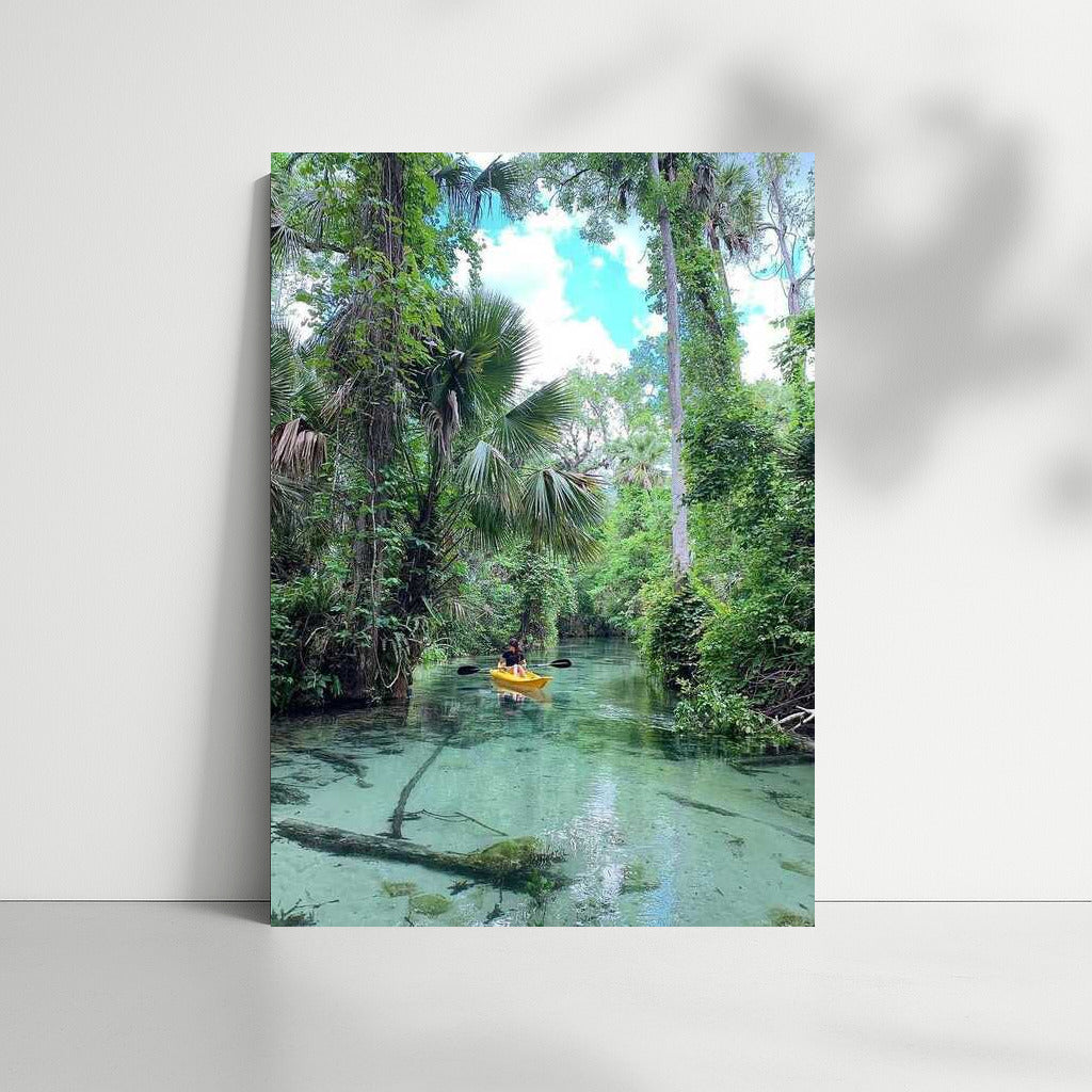 Turquoise Waters of Florida: Adventure in the Jungle USA