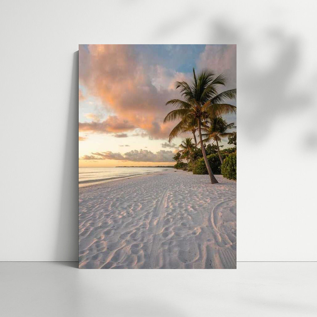 Florida's Sunny Shores: White Sand and Palm Trees