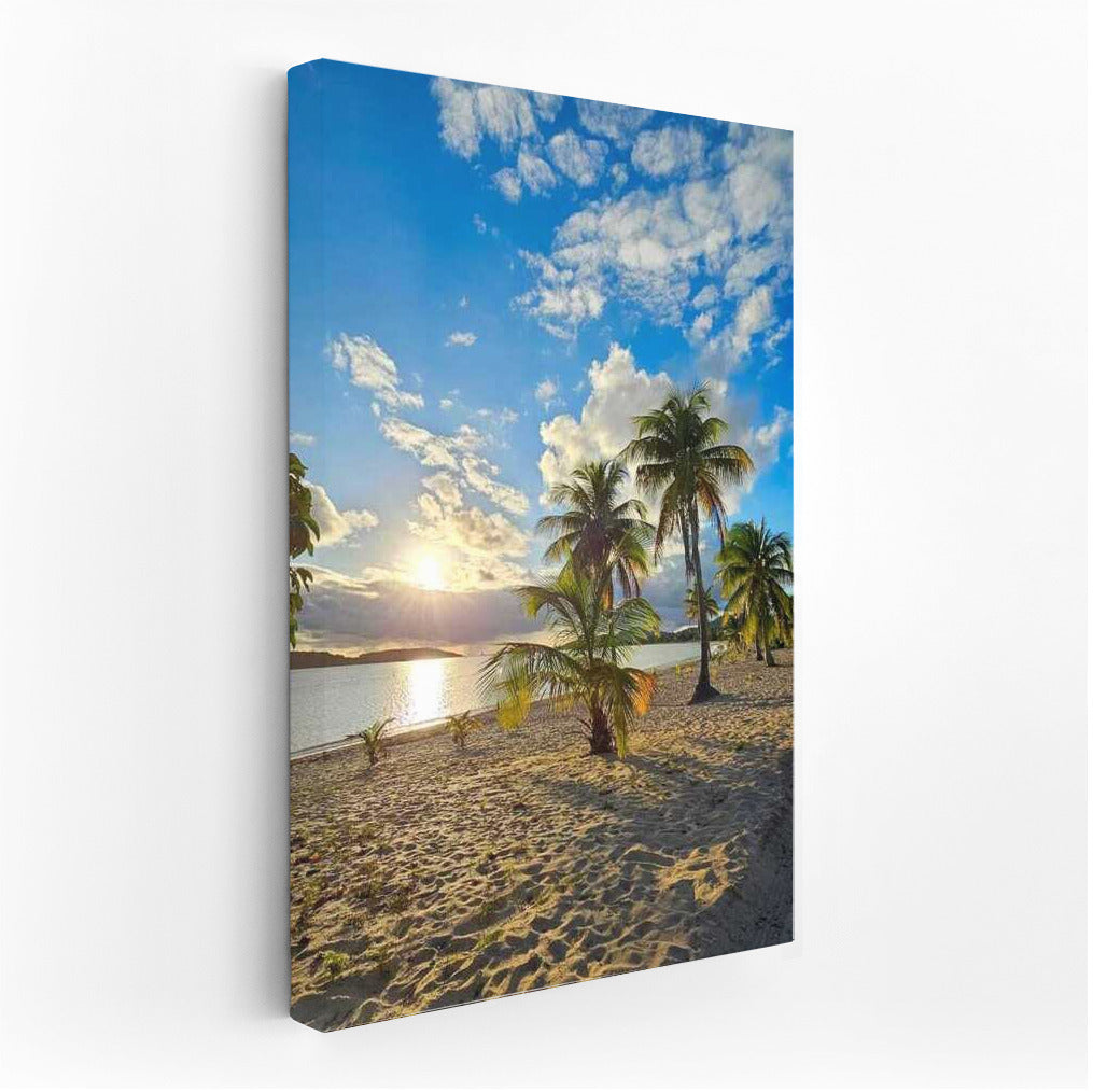 Florida: Sunny Beach and Palm Trees Under the Endless Sky