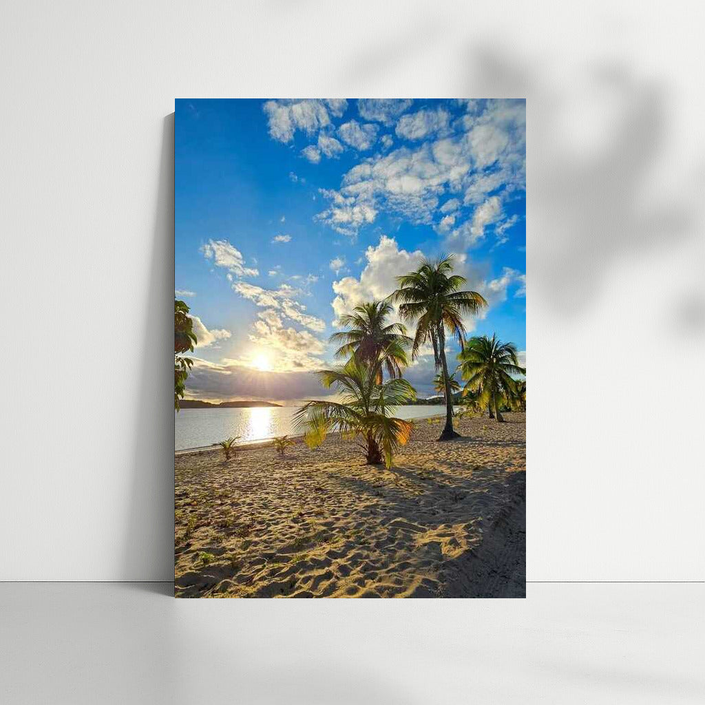 Florida: Sunny Beach and Palm Trees Under the Endless Sky