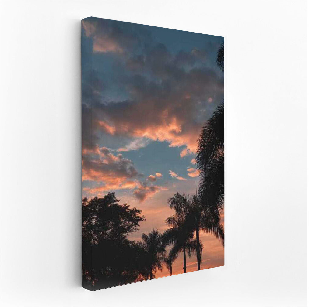 Tropical Sunset: Calm and Warmth of Florida, USA