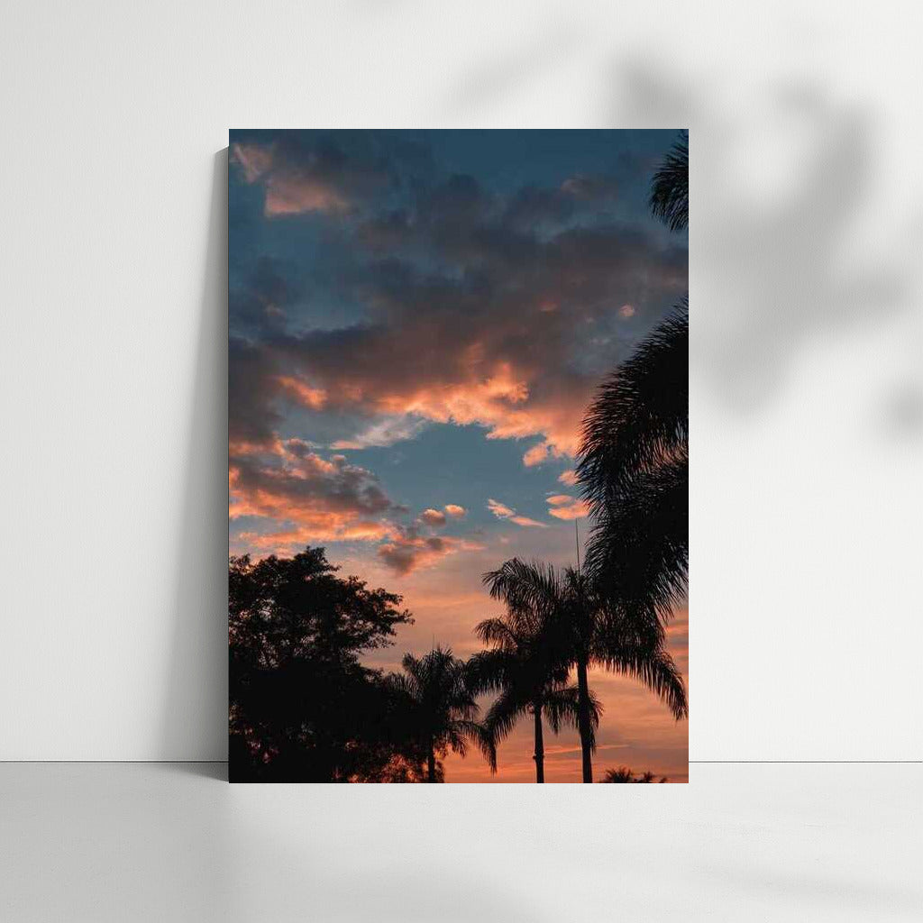 Tropical Sunset: Calm and Warmth of Florida, USA