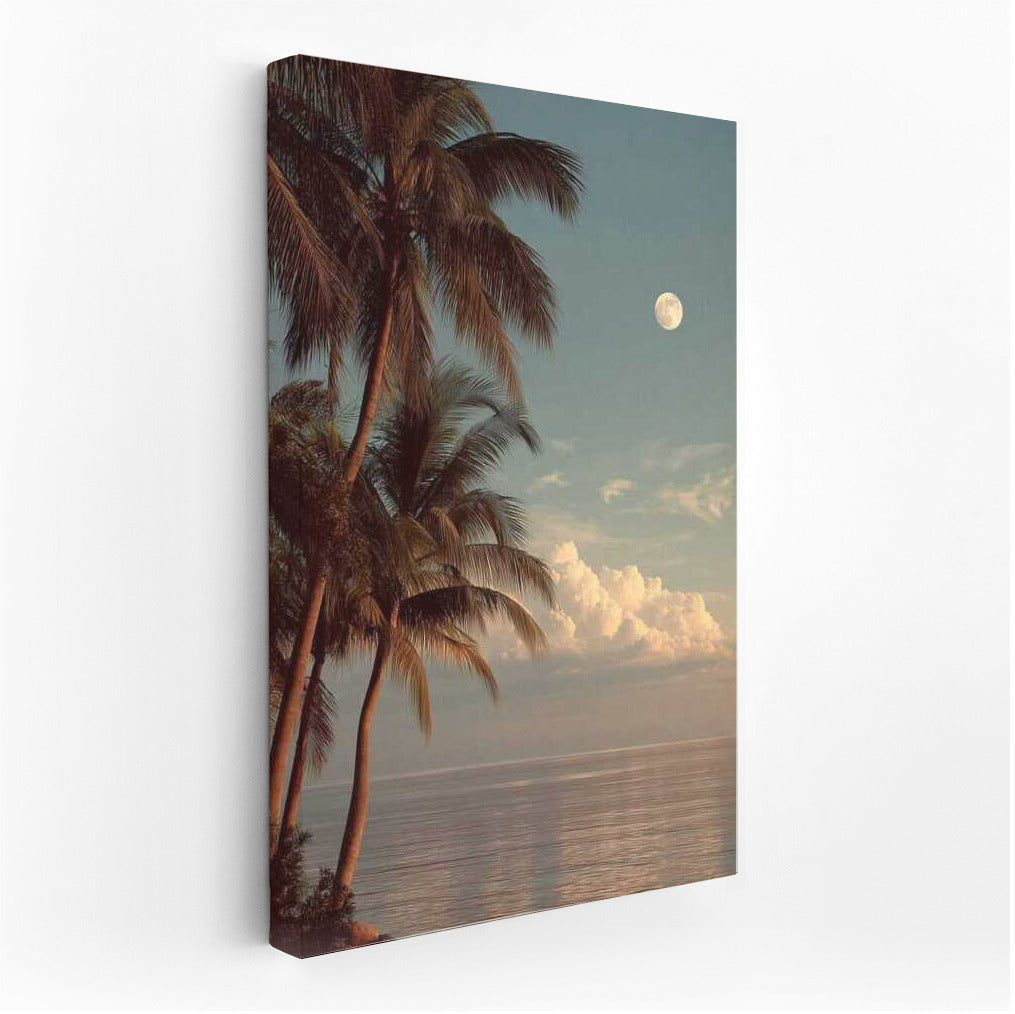 Moonlight Over Florida Palms: The Charm of Southern Nature
