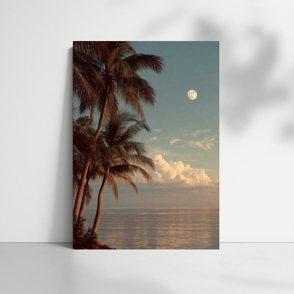 Moonlight Over Florida Palms: The Charm of Southern Nature