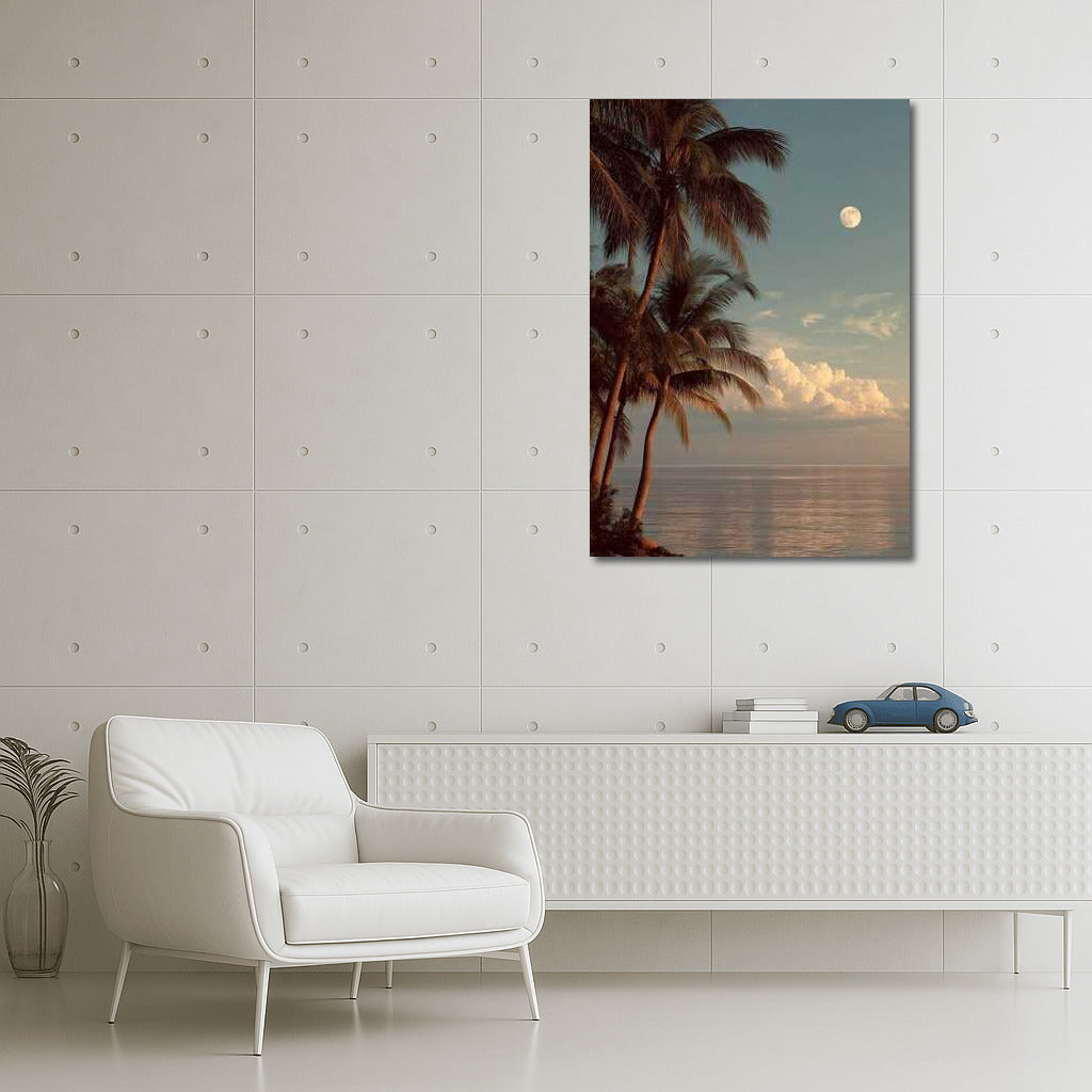Moonlight Over Florida Palms: The Charm of Southern Nature