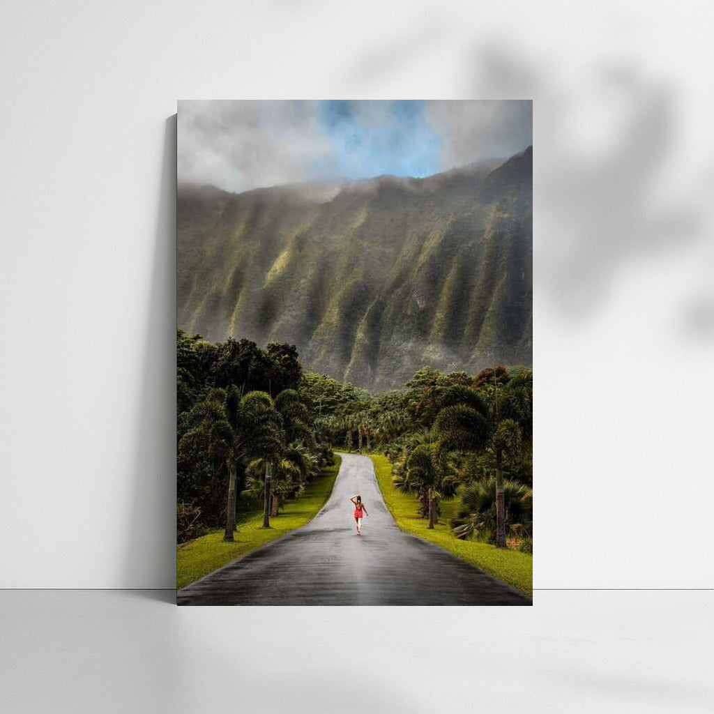 Tropical Way through the Green Hills of Hawaii, USA