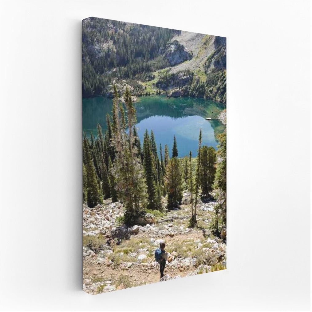 Mountain Lake and Idaho Forests: Natural Charm of the USA