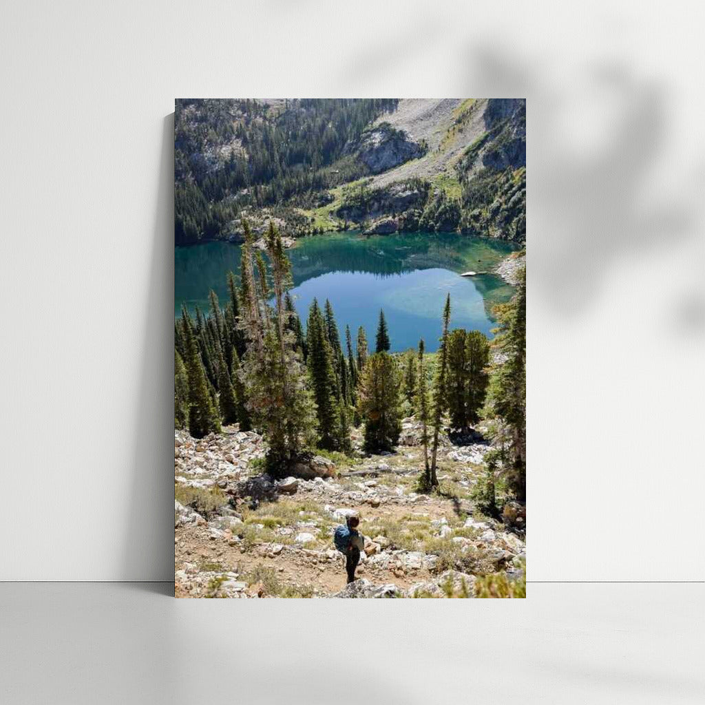 Mountain Lake and Idaho Forests: Natural Charm of the USA