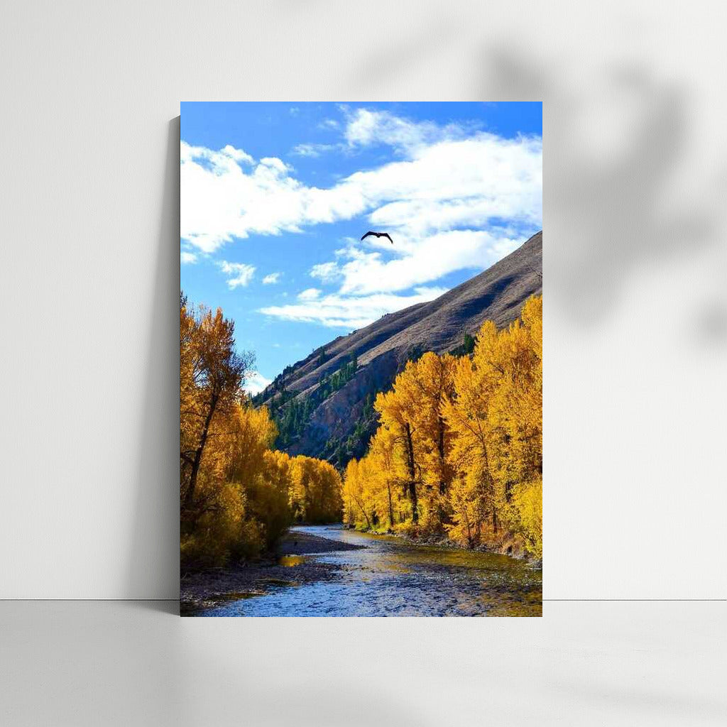 Idaho Autumn Fairytale: Golden Trees and the Serene River