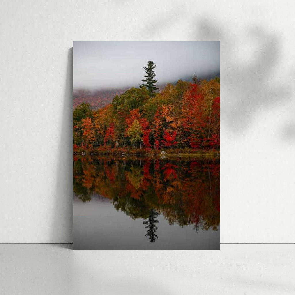 Maine's Autumn Magic: Vibrant Colors and Reflections in U.S. Waters