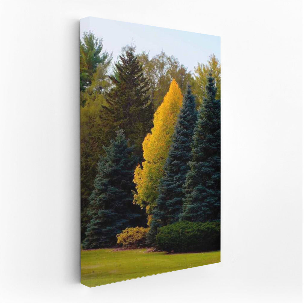 Golden Autumn in Michigan Forests: Vivid Colors of Nature in the USA