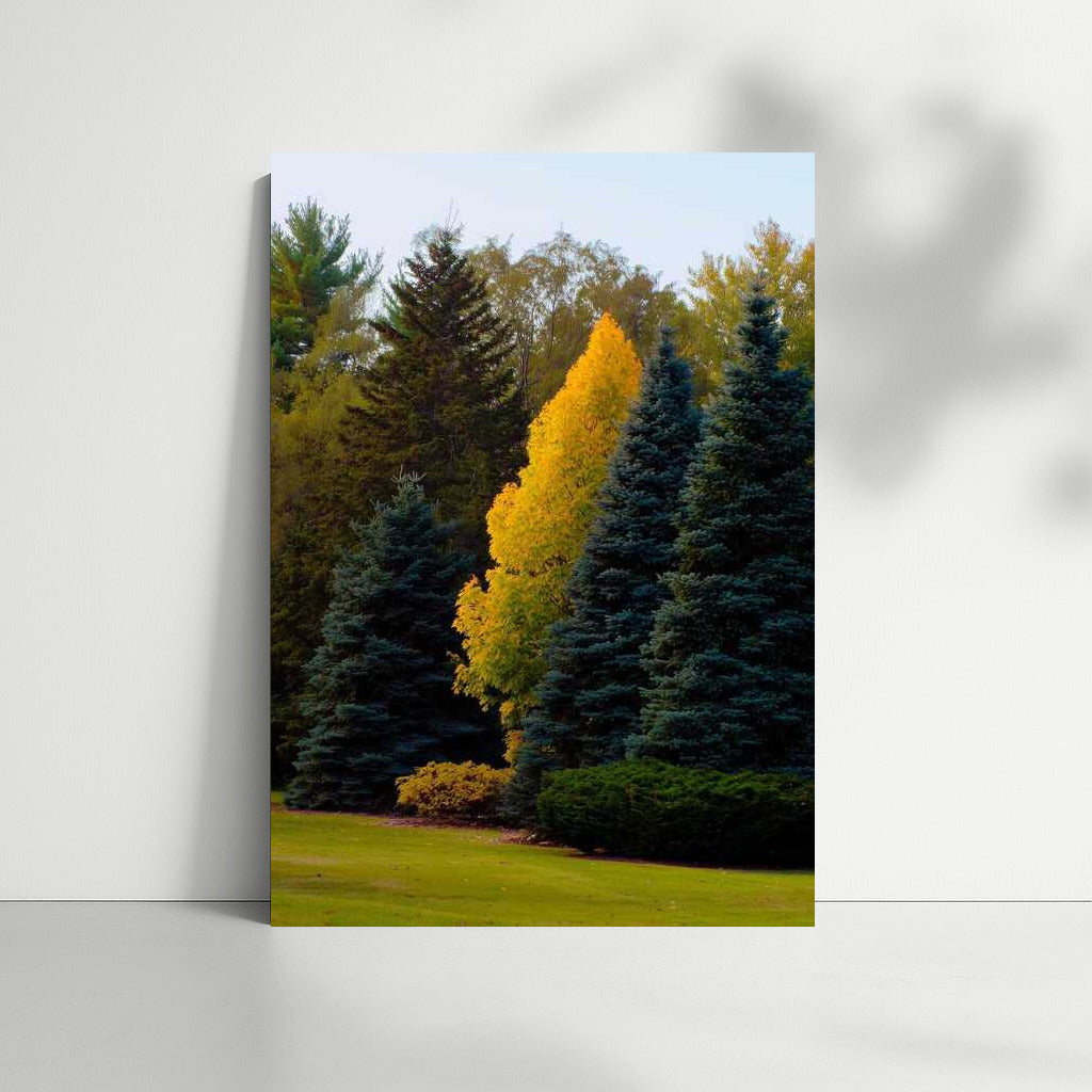 Golden Autumn in Michigan Forests: Vivid Colors of Nature in the USA