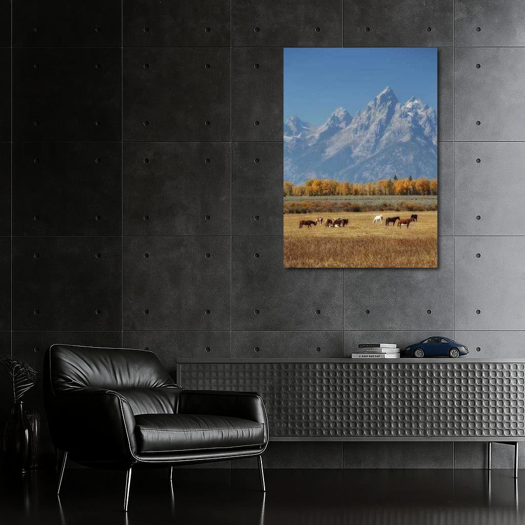 Mountains and Horses of Montana: Comfort and Freedom of the US Wilderness