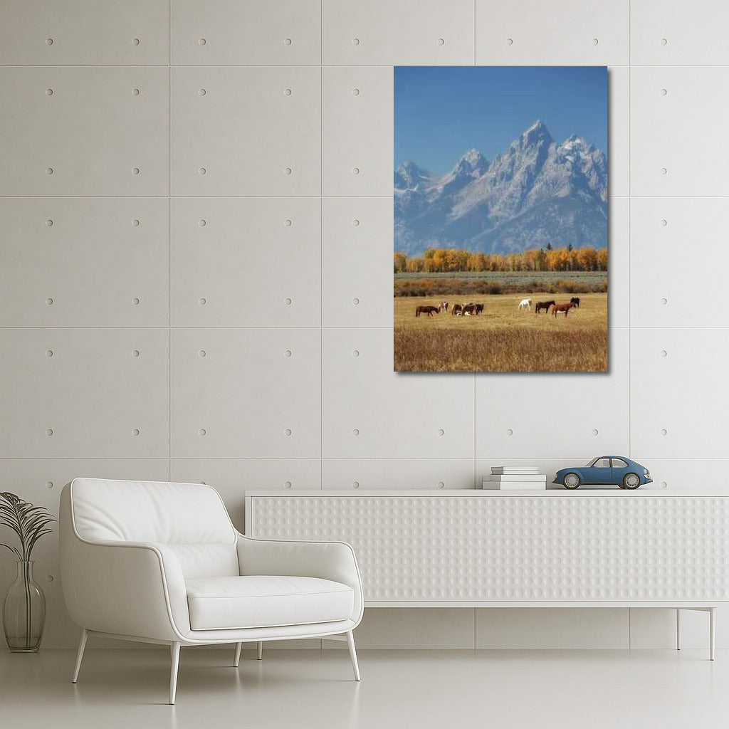Mountains and Horses of Montana: Comfort and Freedom of the US Wilderness