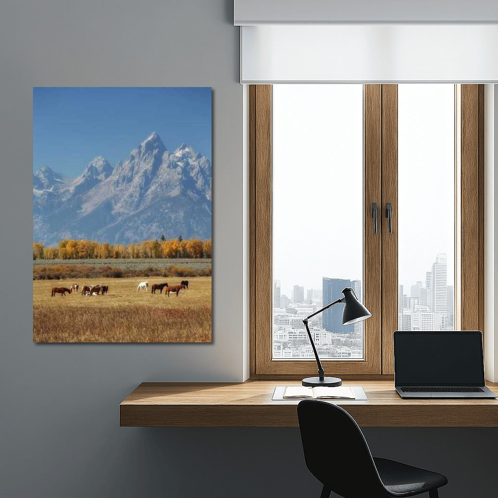 Mountains and Horses of Montana: Comfort and Freedom of the US Wilderness