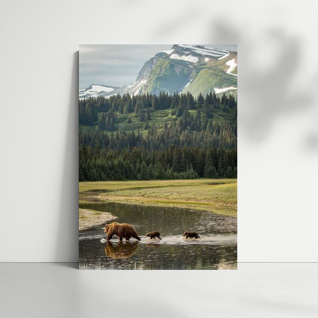 Nature's Tranquility: The Wild Spirit of Montana, USA