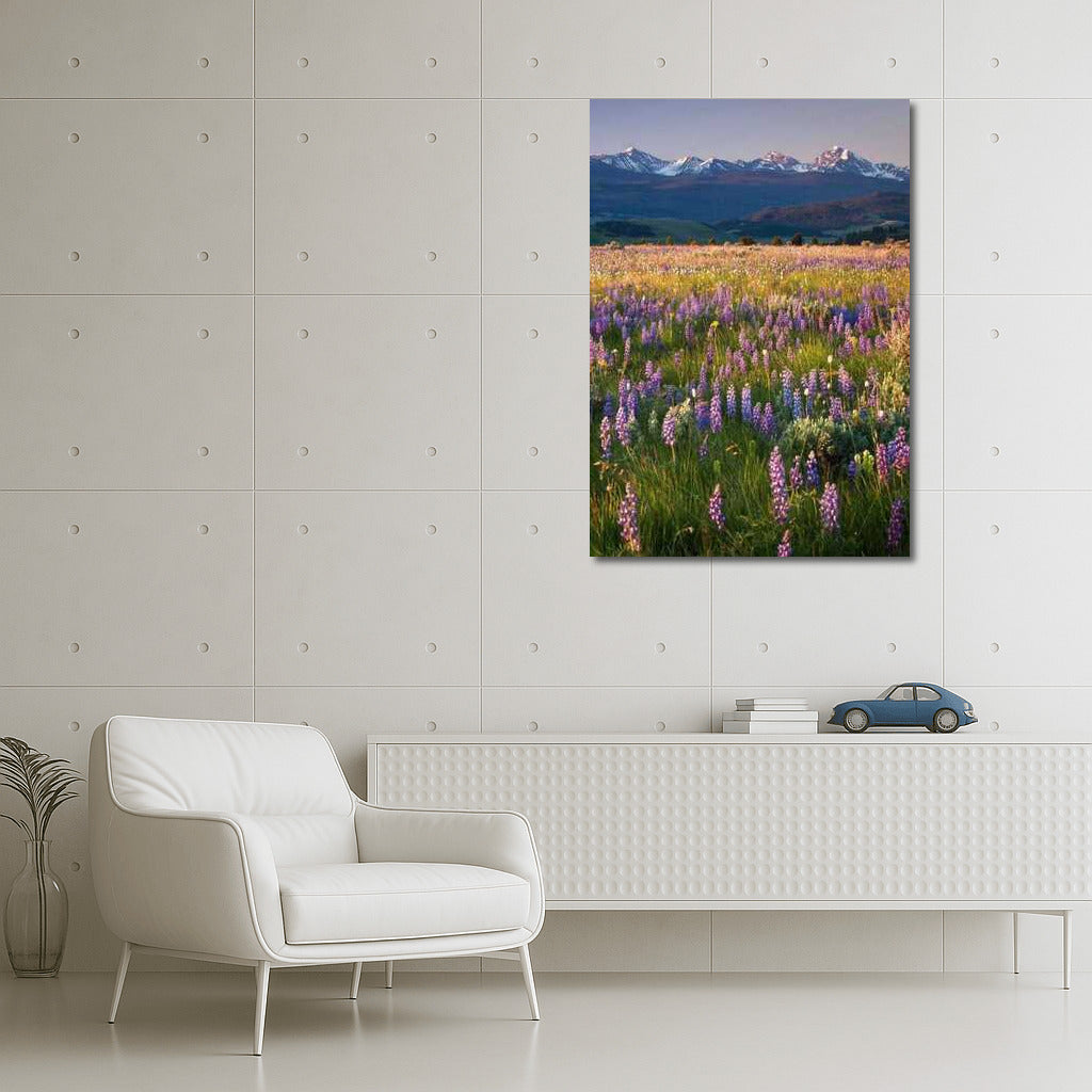 Blooming Landscapes and Mountain Peaks of Montana, USA