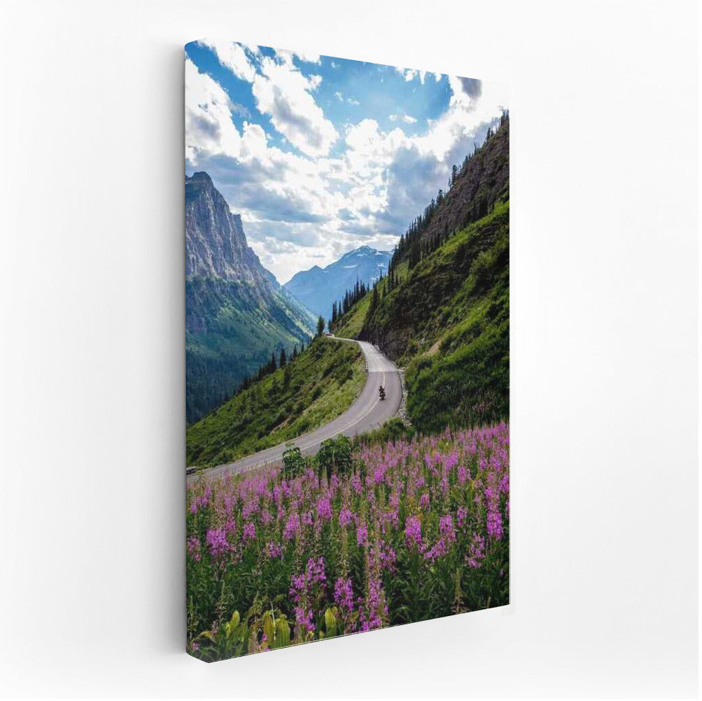 Montana's Freedom Road: A Journey Through the Mountains and Flower Fields of the USA