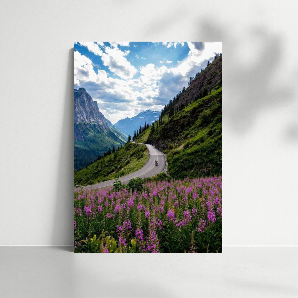 Montana's Freedom Road: A Journey Through the Mountains and Flower Fields of the USA