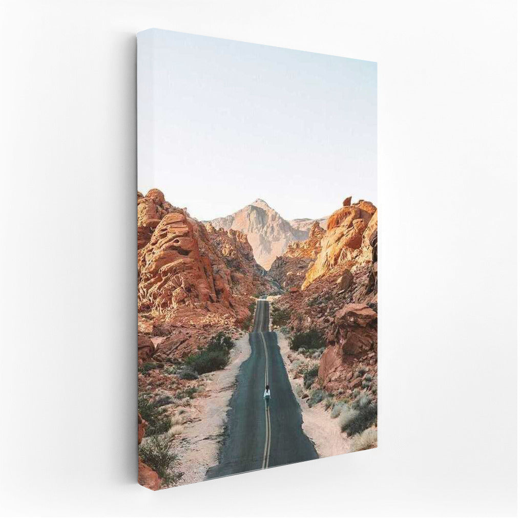Nevada's Wild Road: The Deserted Expanse of the USA