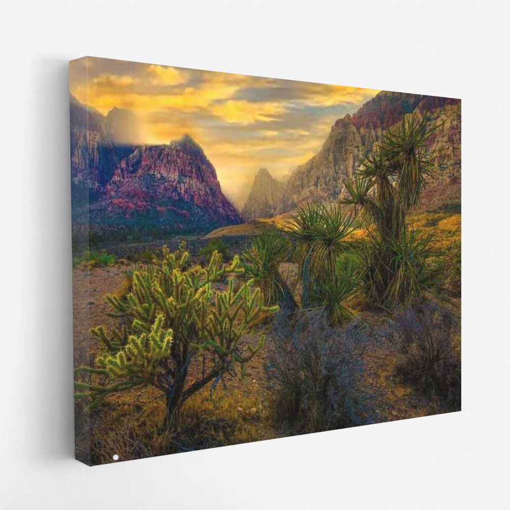 Nevada Desert Grandeur: Warm Tones of Nature in the USA