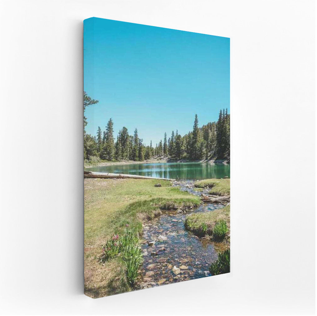 Tranquility of Lake and Pines: Landscape of Nevada, USA