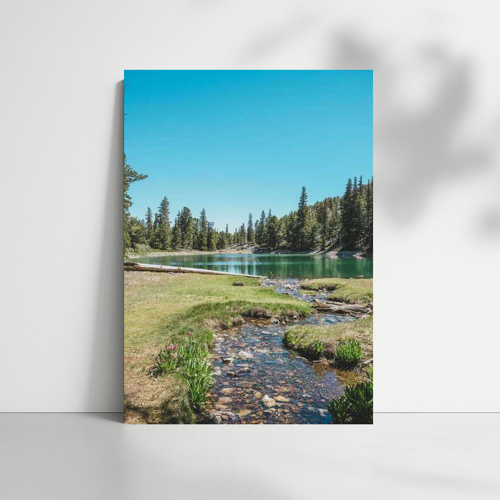 Tranquility of Lake and Pines: Landscape of Nevada, USA