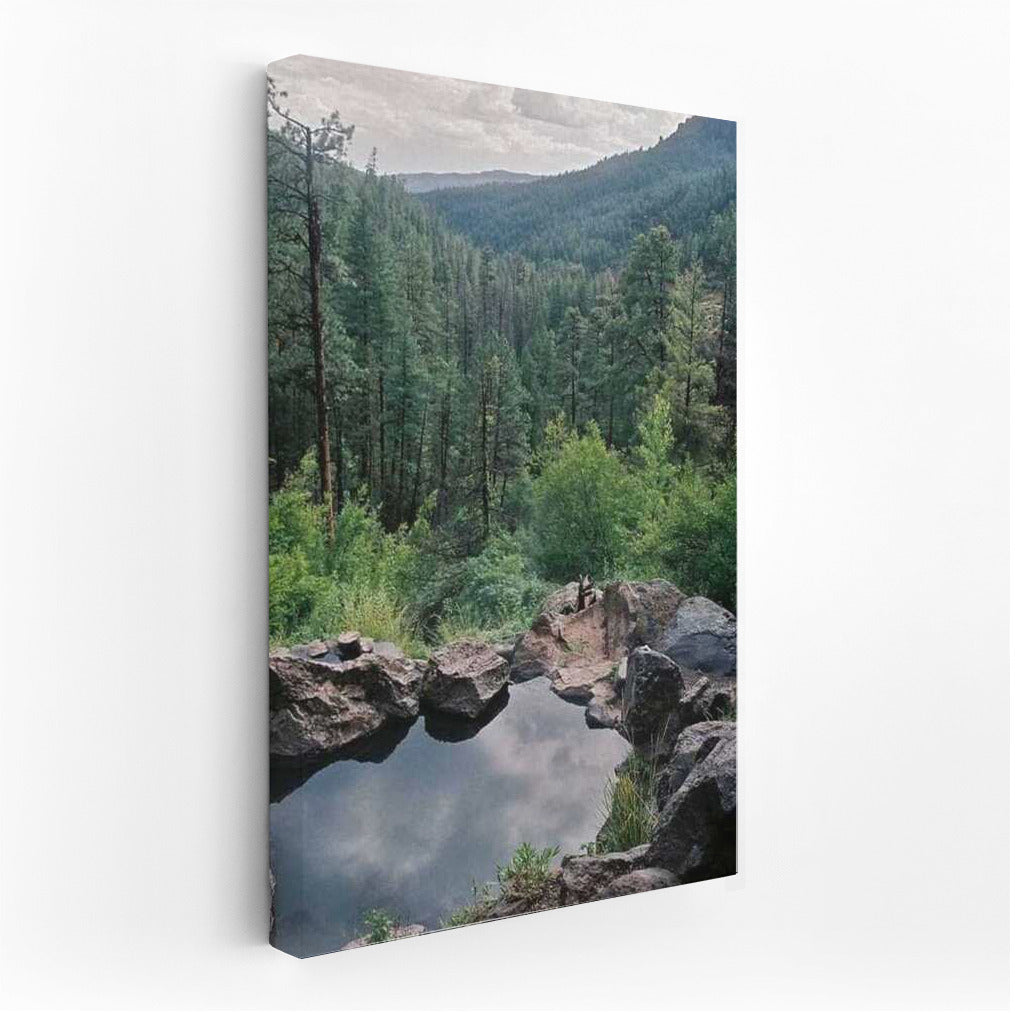 Peaceful Forests of New Mexico: Natural Splendor of the USA