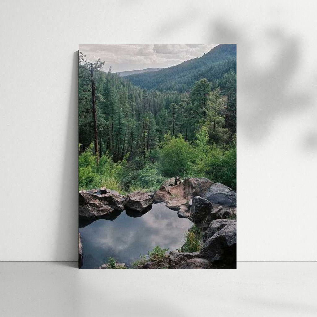 Peaceful Forests of New Mexico: Natural Splendor of the USA
