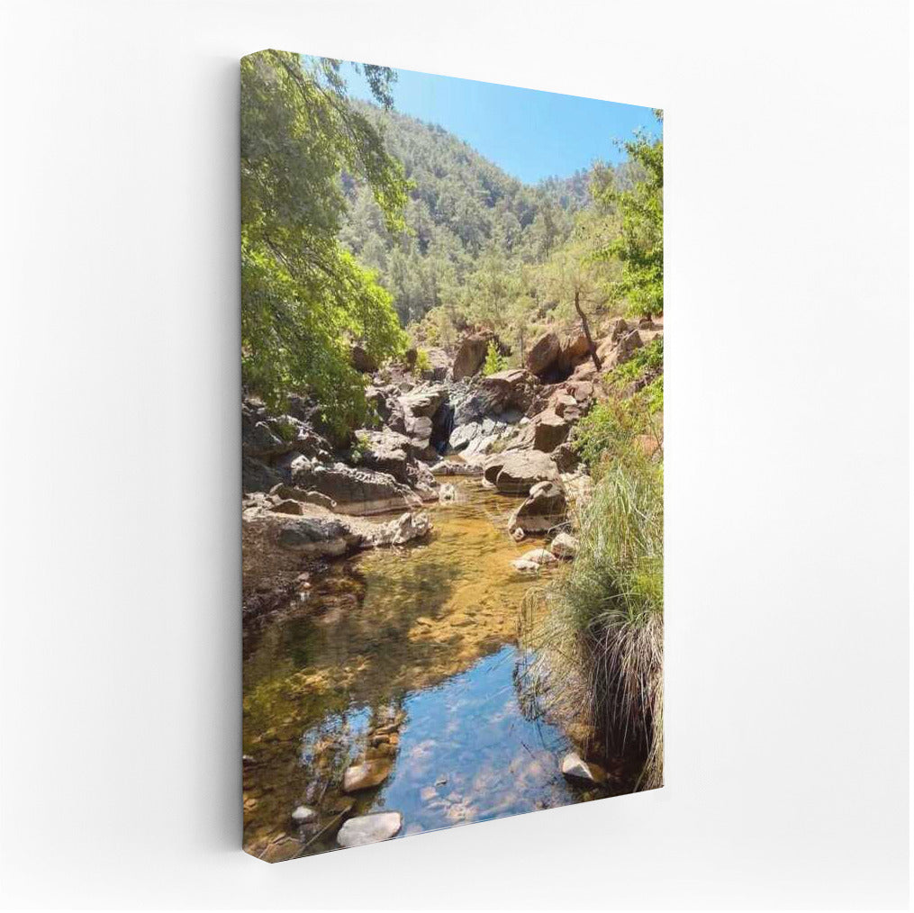 The Majesty of New Mexico's Wilderness: The Tranquility of Country USA