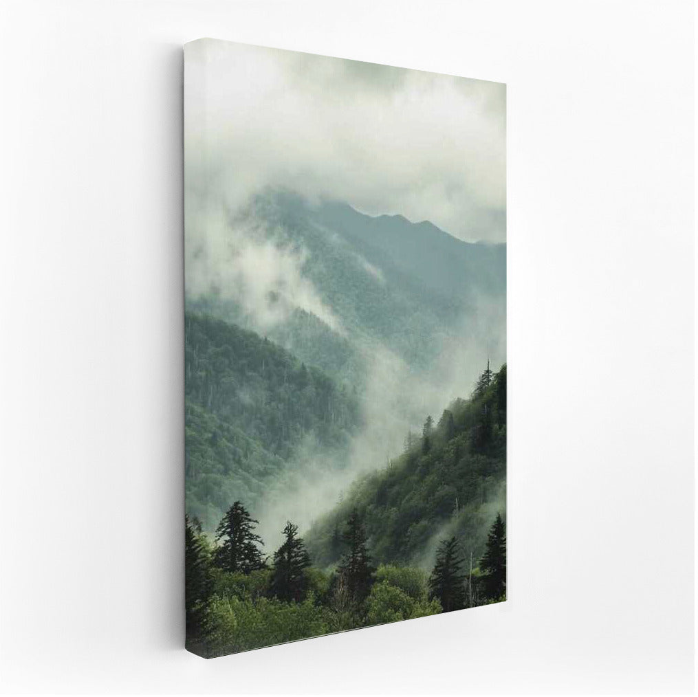 North Carolina's Misty Mountains: Mysterious Forests of the USA