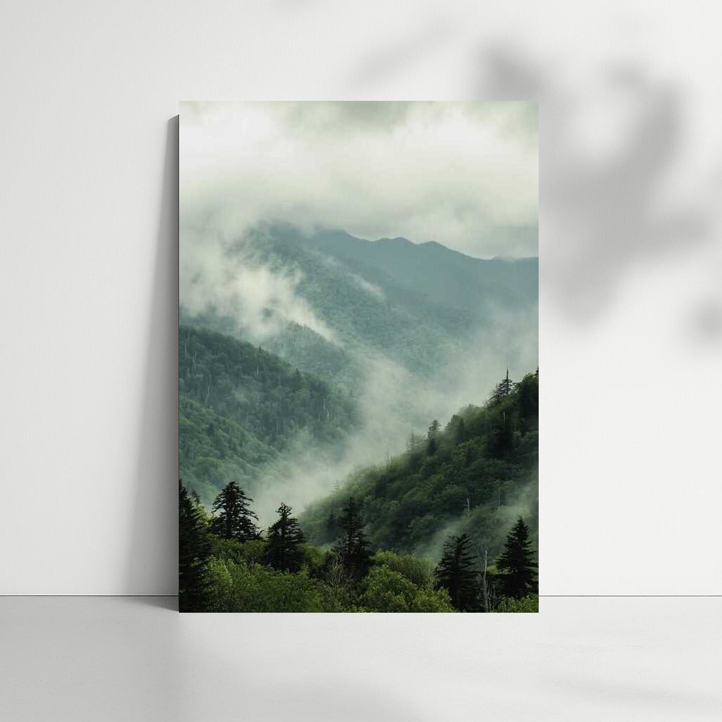 North Carolina's Misty Mountains: Mysterious Forests of the USA
