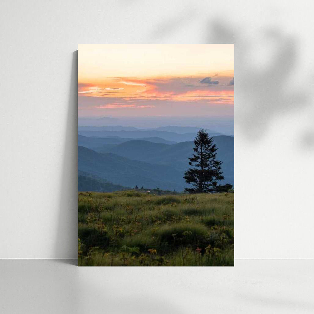 Magical North Carolina Sunset: Rolling Hills of the USA