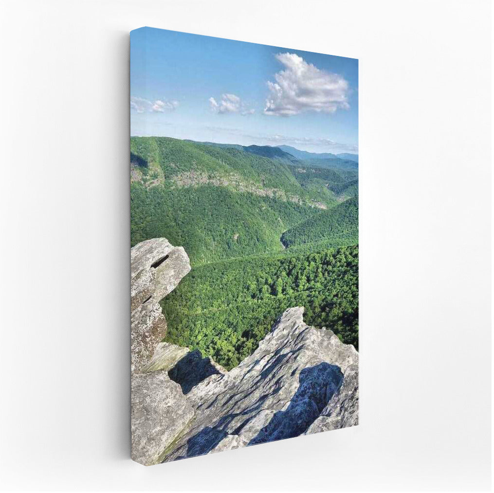 The Majesty of North Carolina Mountains: Freedom and Nature of the USA