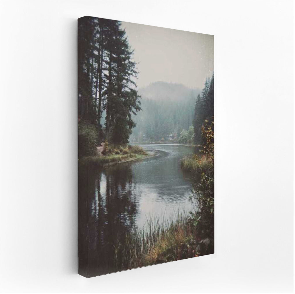 Oregon's Foggy Landscape: Natural Magic of the USA