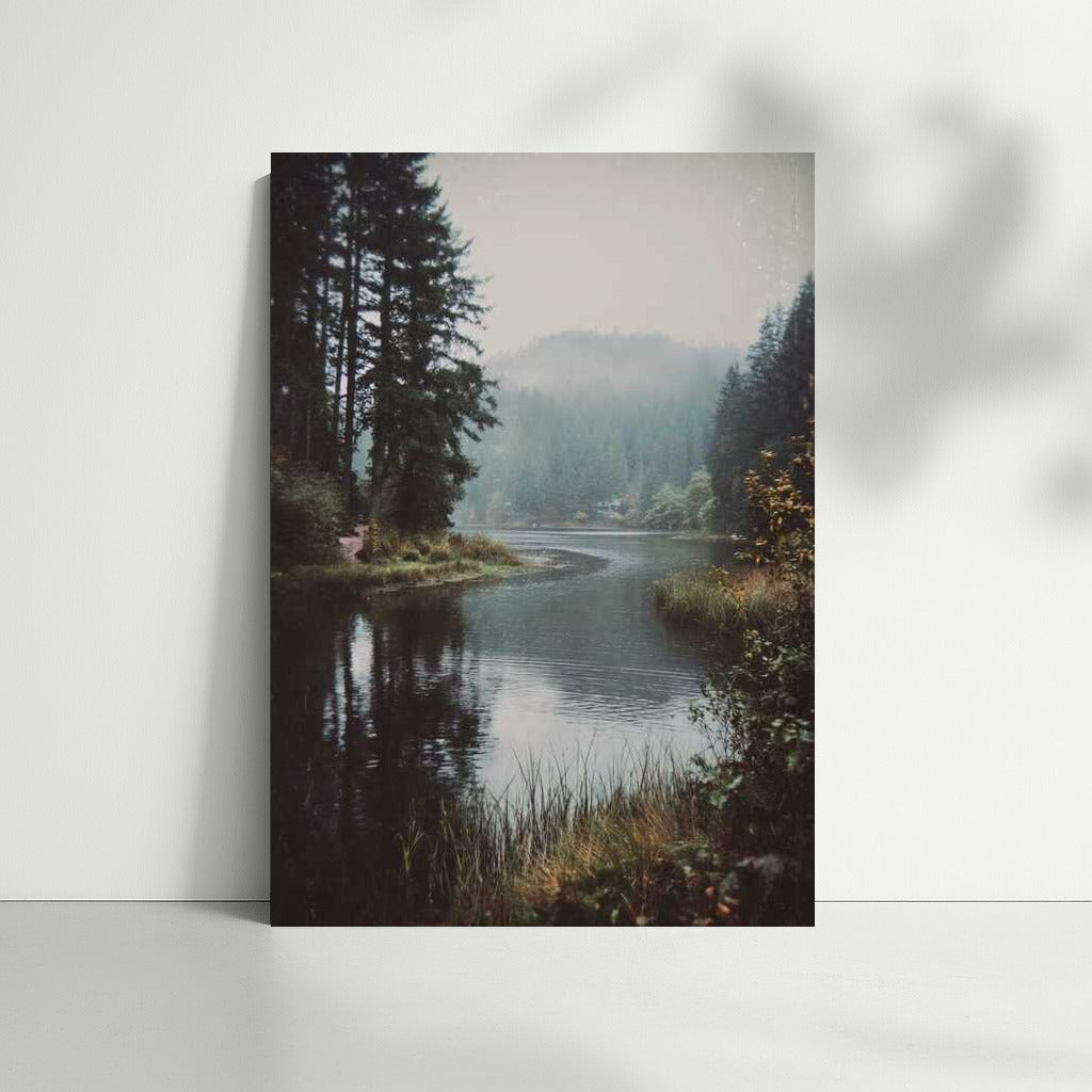 Oregon's Foggy Landscape: Natural Magic of the USA