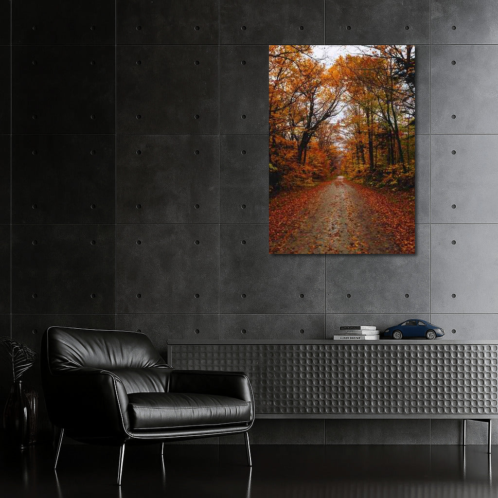Vermont's Golden Autumn: Enchanting Forest of the USA