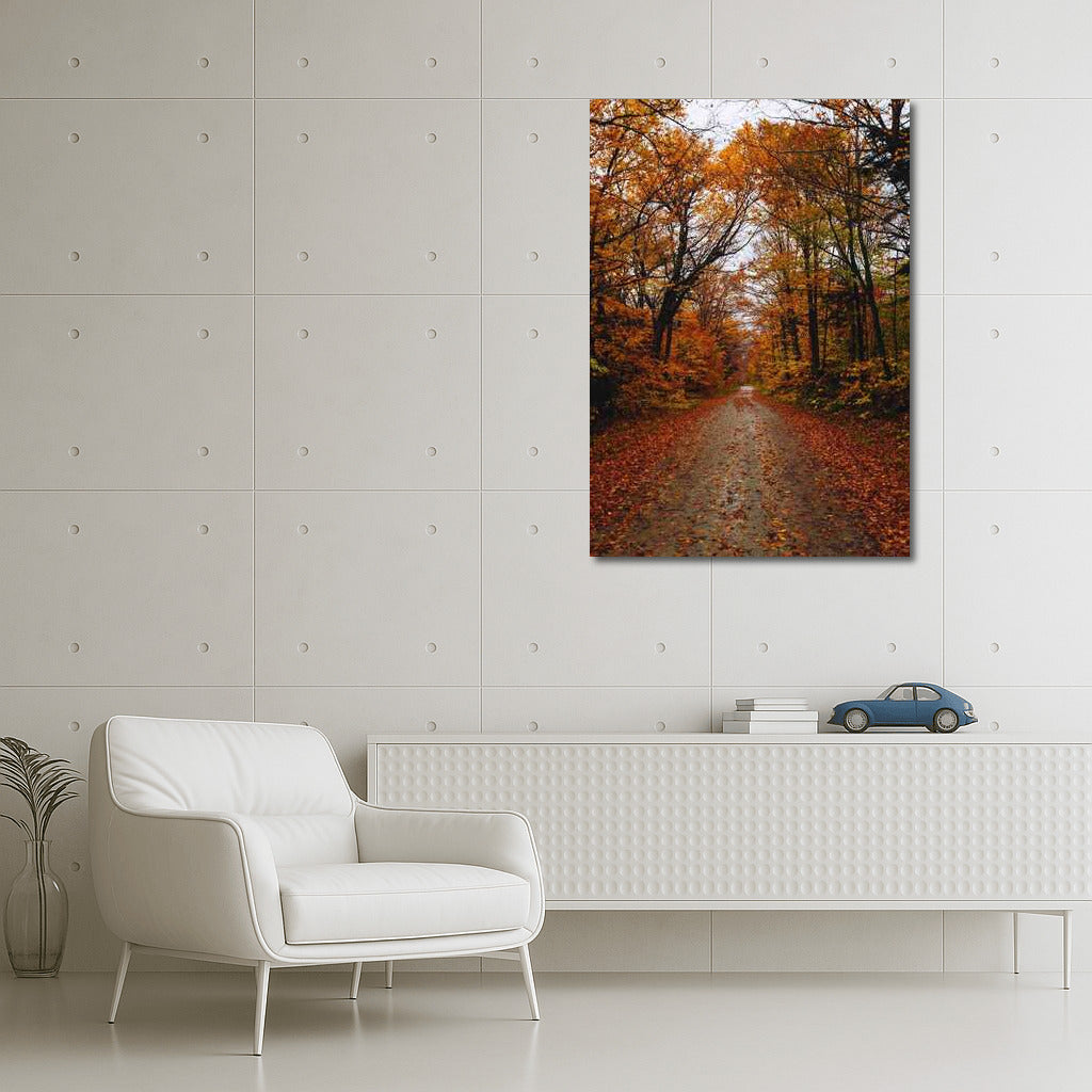 Vermont's Golden Autumn: Enchanting Forest of the USA